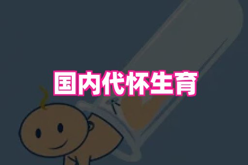 swisee孕网 2