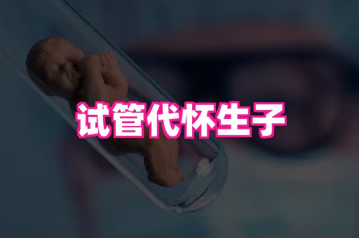 swisee孕网 3